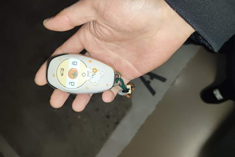 Used Leapmotor T03 2025 310 Comfort Edition Vehicle Key