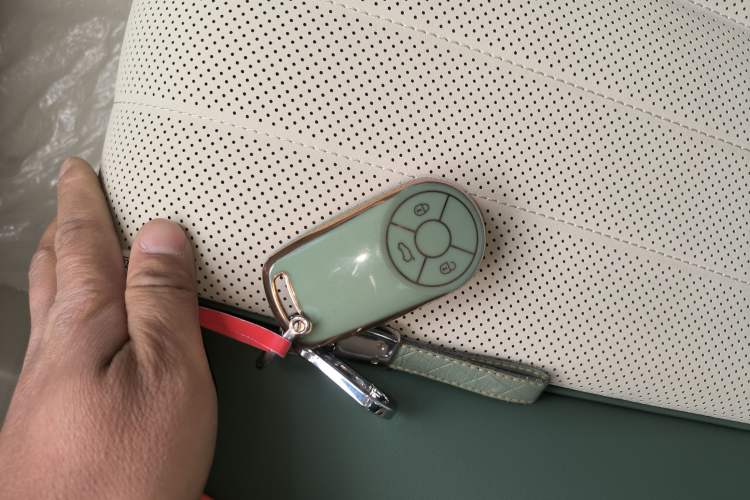 Used ORA Good Cat 2022 Morandi Edition 400km Standard Range Premium Version Lithium-Ion Battery
