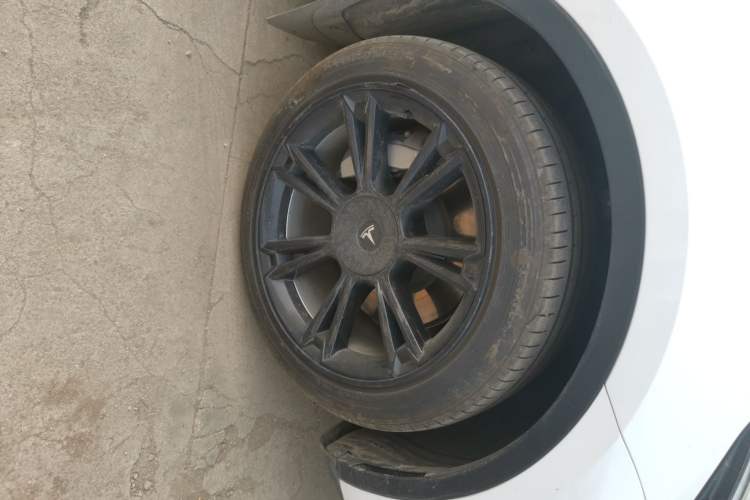 Used Tesla Model Y 2022 Long-Range All-Wheel-Drive Version
