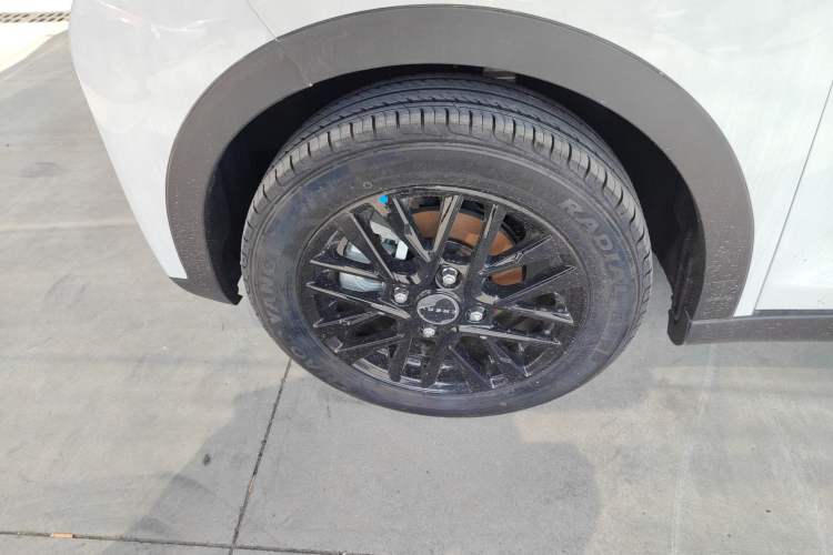 Used Chery Little Ant 2024 Youth Edition 251km True Love Edition 23.99 kWh