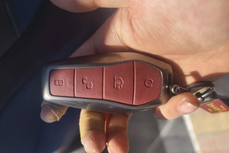 Used BYD Seagull 2024 Honor Edition 305km Freedom Version
