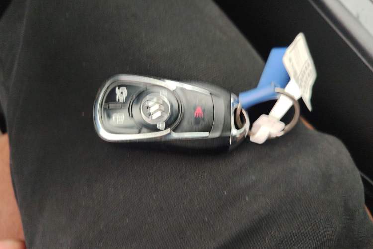 Used Buick Regal 2019 20T Elite Version China VI Standard
