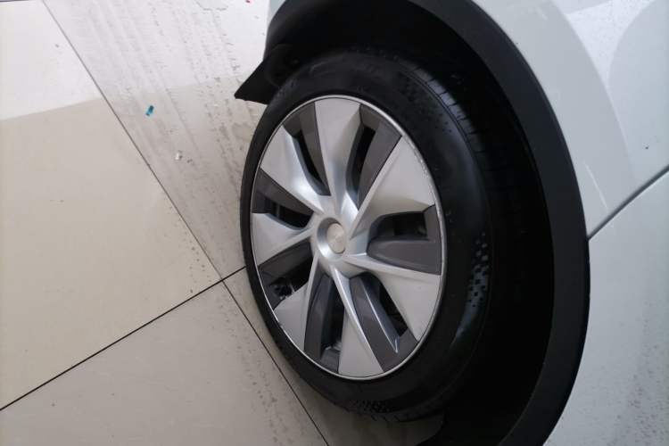 Used Tesla Model Y 2021 Standard Range Rear-Wheel Drive Version
