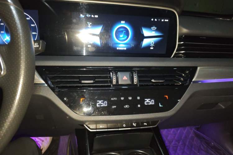 Used Hongqi HS5 2022 2.0T Smart Connect Flagship Edition Audio And AC Panel