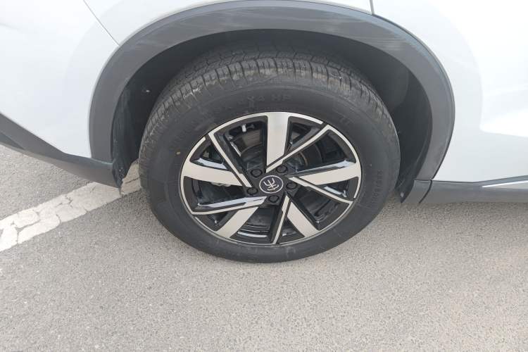 Used BYD Song Pro New Energy 2023 Champion Edition DM-i 110KM Beyond Model