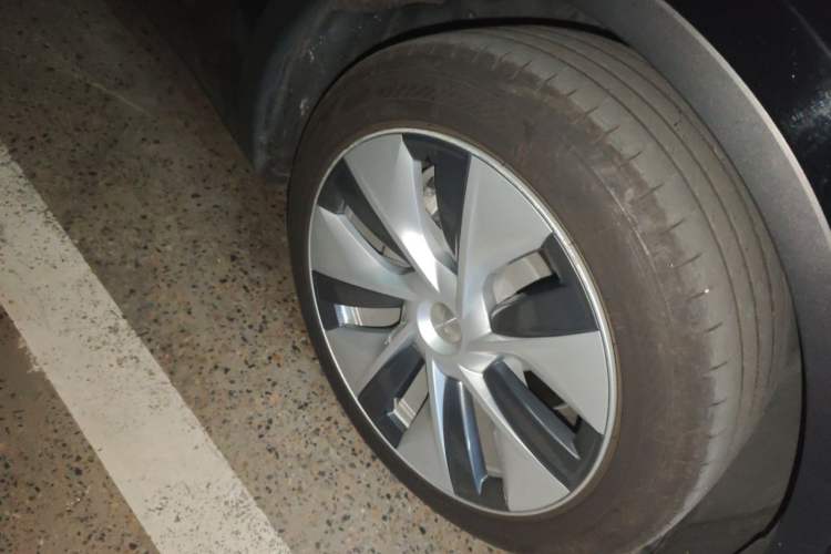 Used Tesla Model Y 2021 Standard Range Rear-Wheel Drive Version