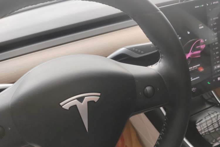 Used Tesla Model 3 2019 Standard Range Rear-Drive Upgraded Version