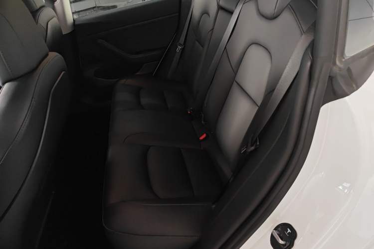 Used Tesla Model 3 2020 Standard Range Rear-Wheel Drive Upgraded Version
