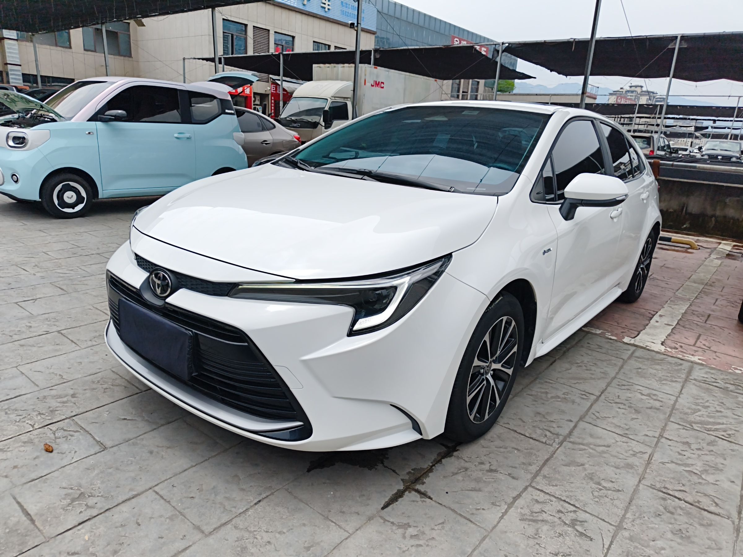 Parte inferior delantera