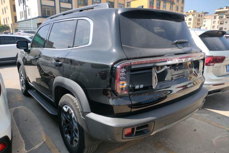 Used Haval DARGO 2024 2.0T DCT Chinese Rural Dog Edition
