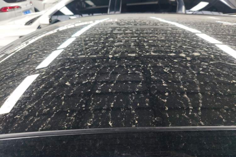 Used Chery Little Ant 2024 Edition Youth Version 251km True Love Edition 25.05 kWh
