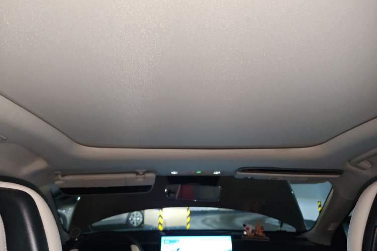 Used Lynk & Co 07 2024 EM-P 126 Long-Range Halo Headliner