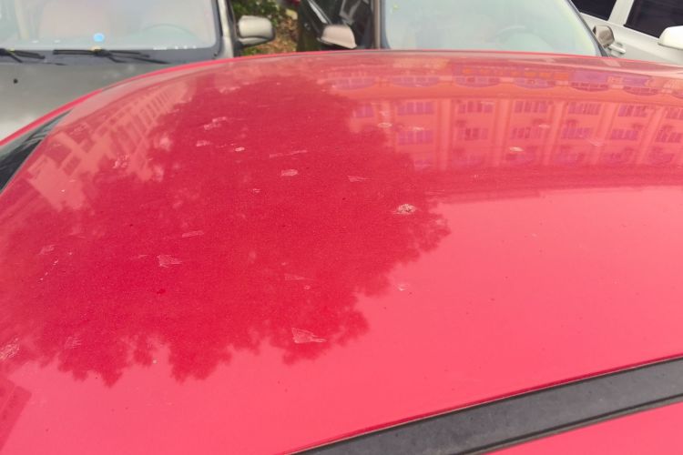 Used Dayun Yuehu 2022 300 Standard Edition Roof