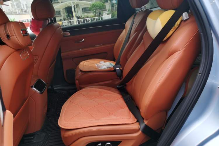 Used Hima AITO M7 2024 1.5T Intelligent Driving 4WD Ultra Version 6 Seats Left Rear Seat