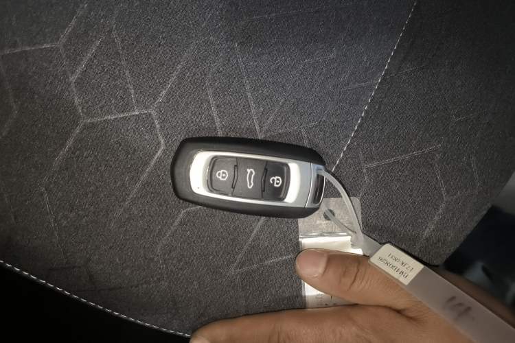 Used Geely Galaxy Panda 2024 Panda Mini 200km Endurance Bear Vehicle Key