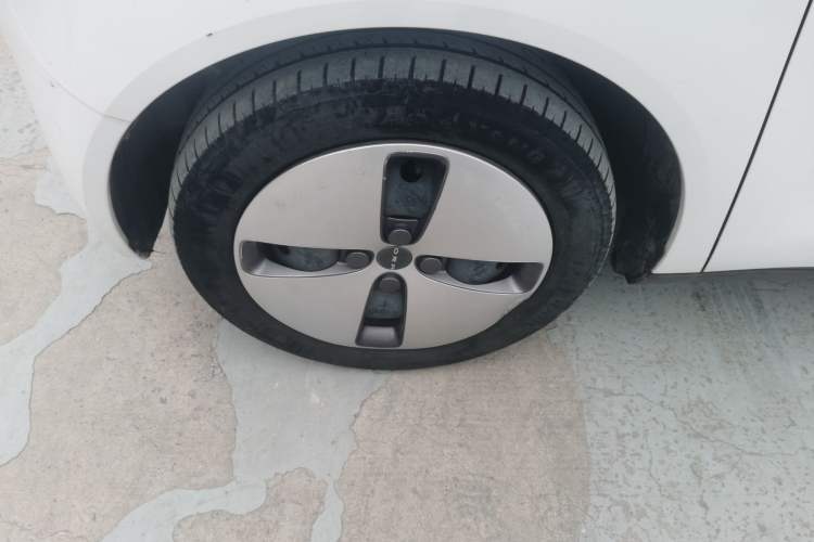 Used ORA Black Cat 2021 301 km Basic Version Exterior 4