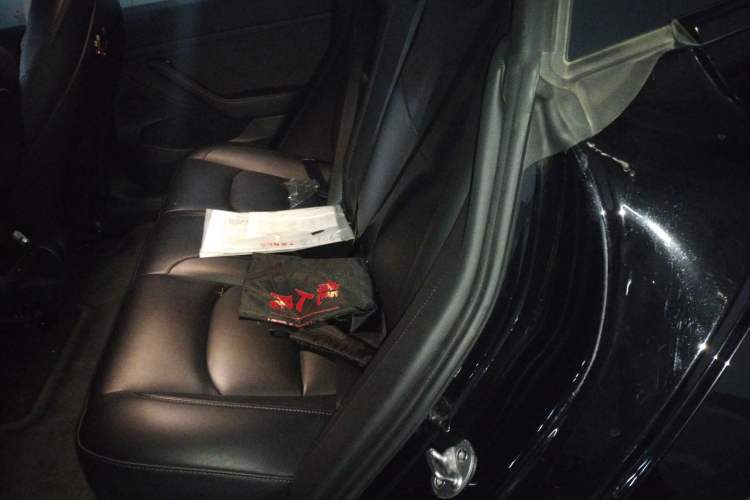 Used Tesla Model 3 2022 Rear-Wheel-Drive Version