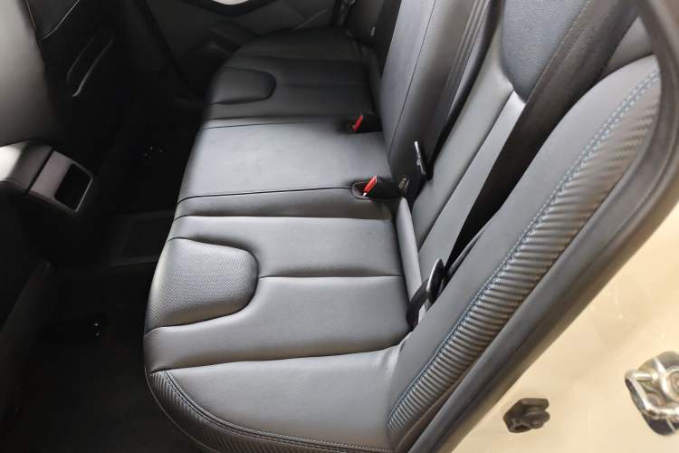 Used Venucia D60EV 2020 Standard Range Smart Drive Edition Left Rear Seat