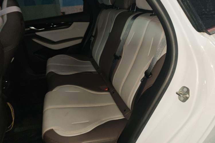 Used BYD Qin PLUS 2023 Champion Edition DM-i 55KM Leading Model Left Rear Seat