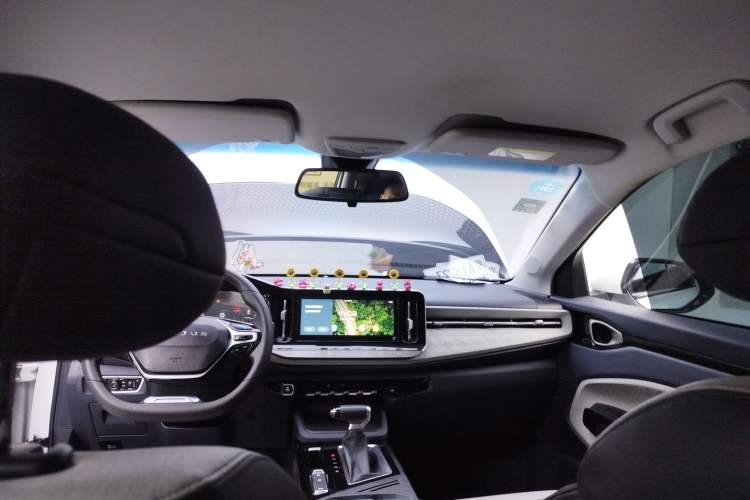 Used Baojun RM-5 2019 1.5T CVT 24-Hour Online Luxury Version 7 Seats Headliner