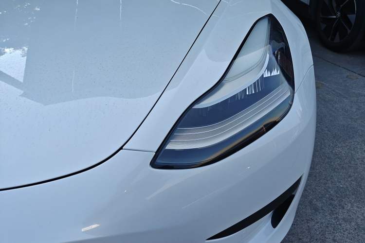 Used Tesla Model 3 (Import) 2019 Standard Range Rear-Wheel Drive Upgraded Version (52 kWh)