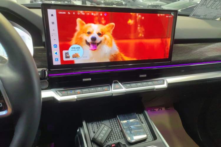 Used Tank 400 New Energy 2024 Hi4-T City Edition
