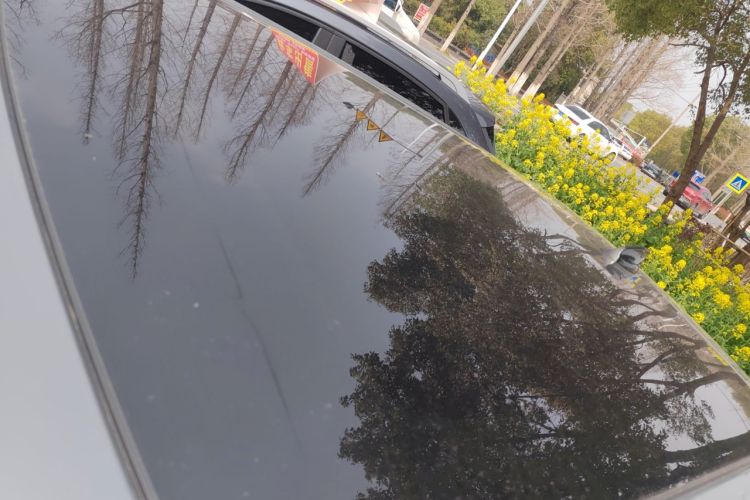 Used Land Rover Range Evoque 2020 249 PS R-DYNAMIC S Sport Edition
