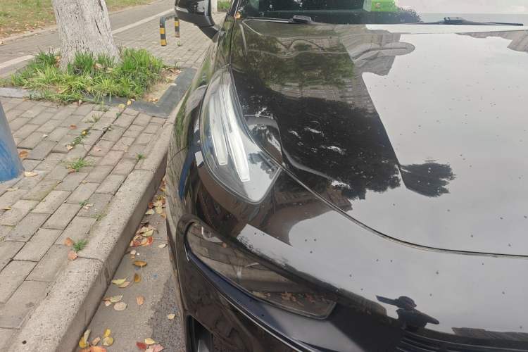 Used Lynk & Co 03 2021 1.5TD DCT JingPlus Right Front Headlight