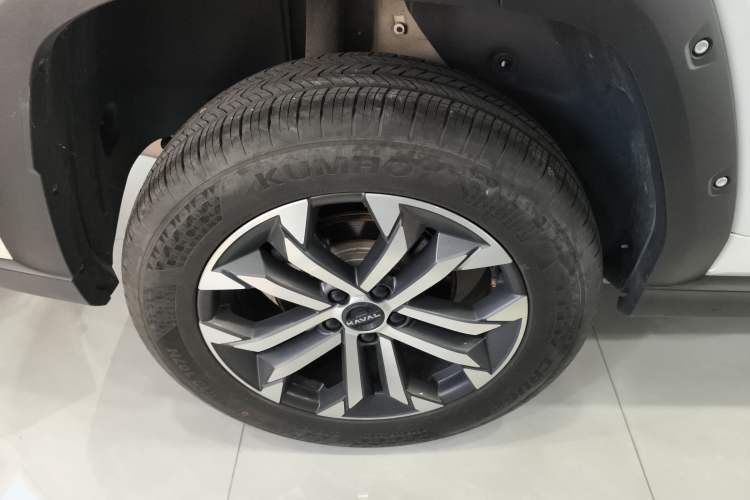 Used Haval H Dog 2023 2.0T Two-Wheel Drive Chaoye Version Plus