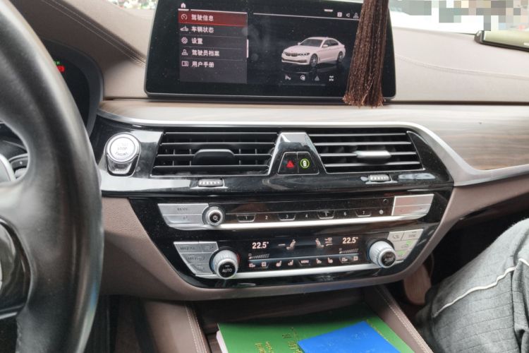 Used BMW 5 Series 2020 530Li Luxury Edition Premium Package