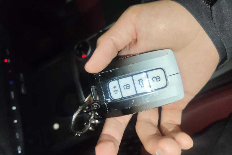 Used Tank 300 2024 2.0T Conqueror