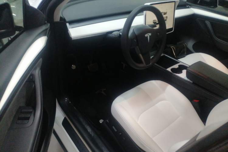 Used Tesla Model Y 2021 Revised Version 2 Long-Range All-Wheel-Drive Edition
