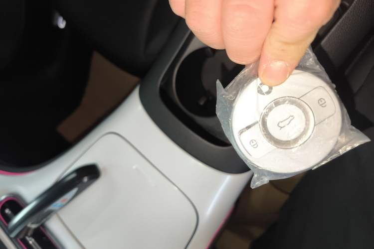 Used smart #1 2022 Pulse Heartbeat Edition
