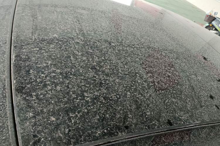 Used Audi A7L 2024 45 TFSI quattro Black Warrior Edition
