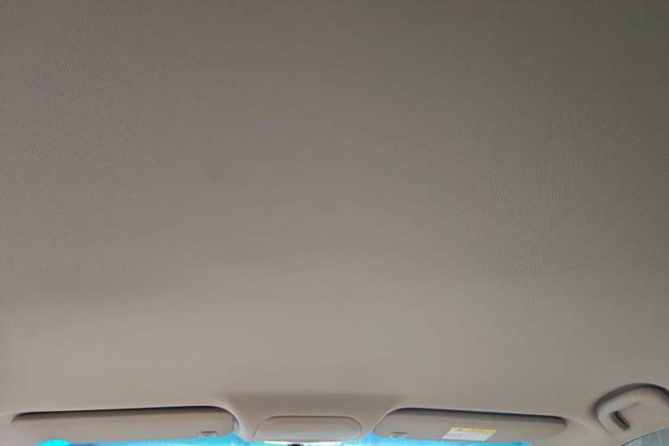 Used Buick GT 2017 15N Manual Entry-Level Trim Headliner