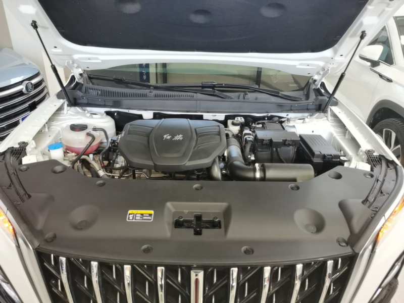 Used Hongqi HS5 2023 2.0T Qixiang Pro Edition — 19