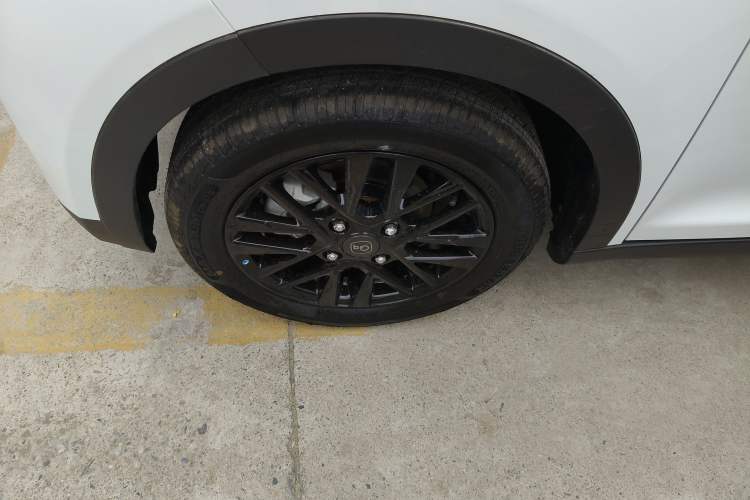 Used Chery Little Ant 2026 Model 271km True Love Version
