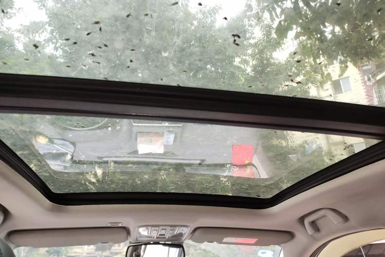 Used Haval H6 Coupe 2015 Blue Label 2.0T Manual Two-Wheel-Drive Elite Model Headliner