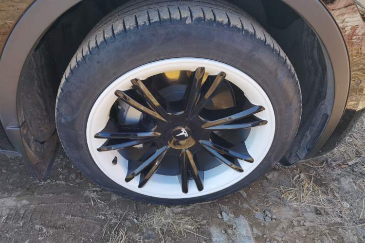 Used Tesla Model Y 2022 Revised Version Rear-Wheel Drive
