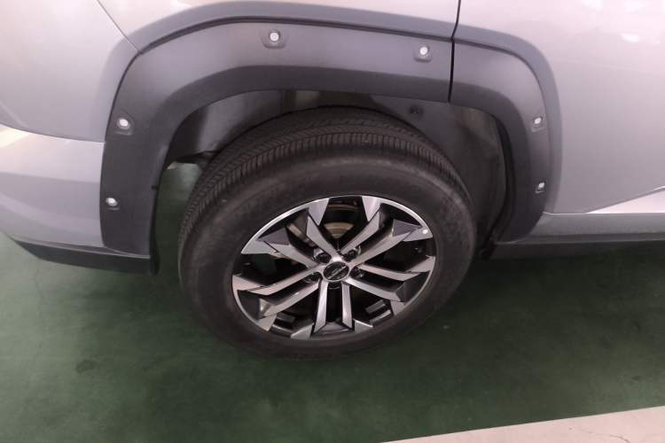 Used Haval H Dog 2023 2.0T Two-Wheel Drive Chaoye Version Plus