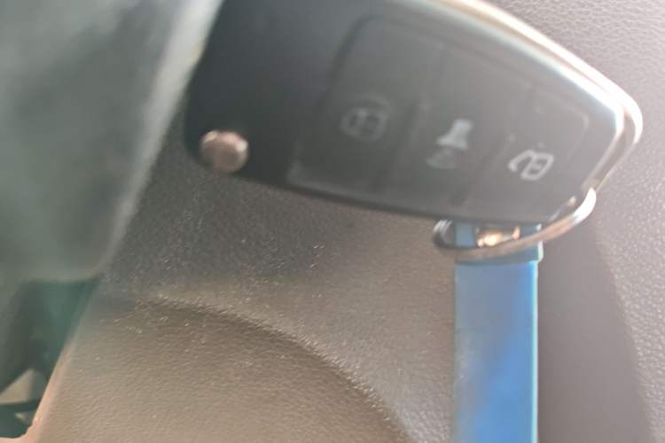 Used New Gonow Shuailing 2022 Standard Range with 41.64 kWh Lishen Power Vehicle Key