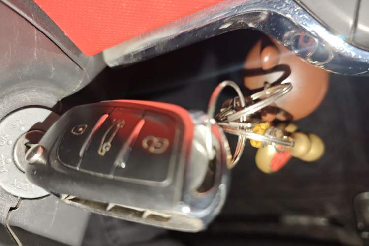 Used Pocco Duoduo 2021 Le Duo
