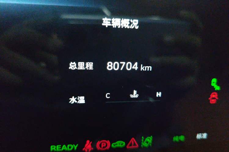 Used Wey Gaoshan 2023 Four-Wheel Drive Flagship Edition