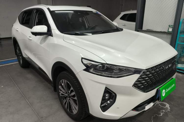 Used Haval F7 2020 2.0T Two-Wheel Drive i-Van