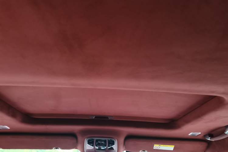 Used Tank 700 New Energy 2024 Hi4-T Extreme Edition Headliner