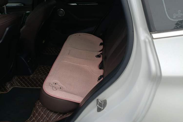 Used BMW X1 2021 sDrive20Li Premium Edition
