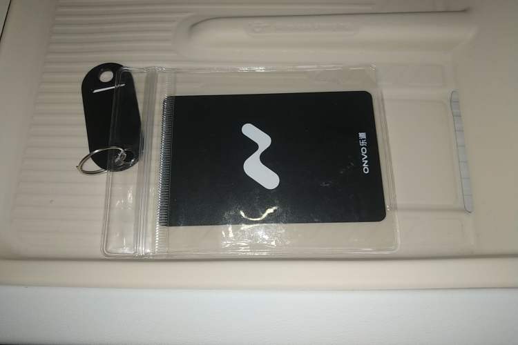 Used ONVO L60 2024 60 kWh Rear-Drive Version
