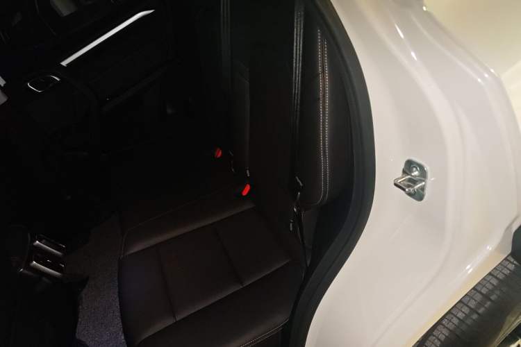 Used Haval DARGO 2021 1.5T DCT Two-Wheel Drive Border Collie Edition Left Rear Seat