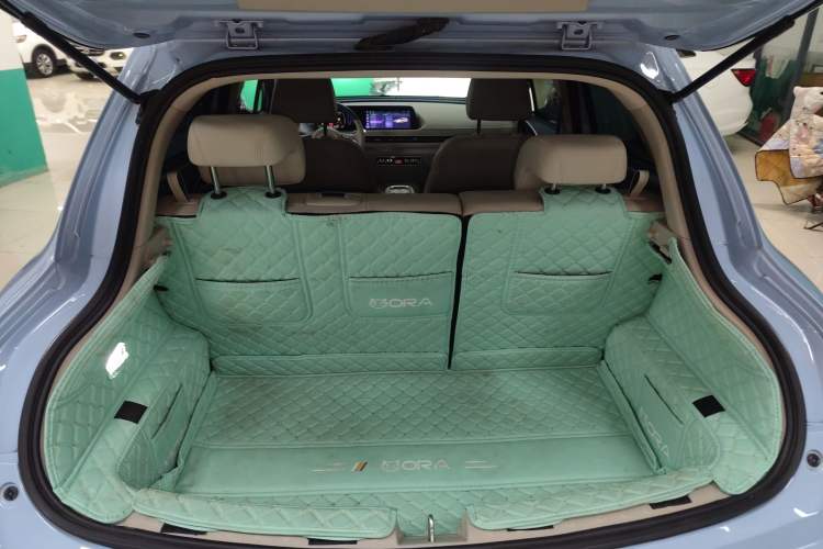 Used ORA Good Cat 2023 401 km Standard Range Luxury Version Lithium Iron Phosphate