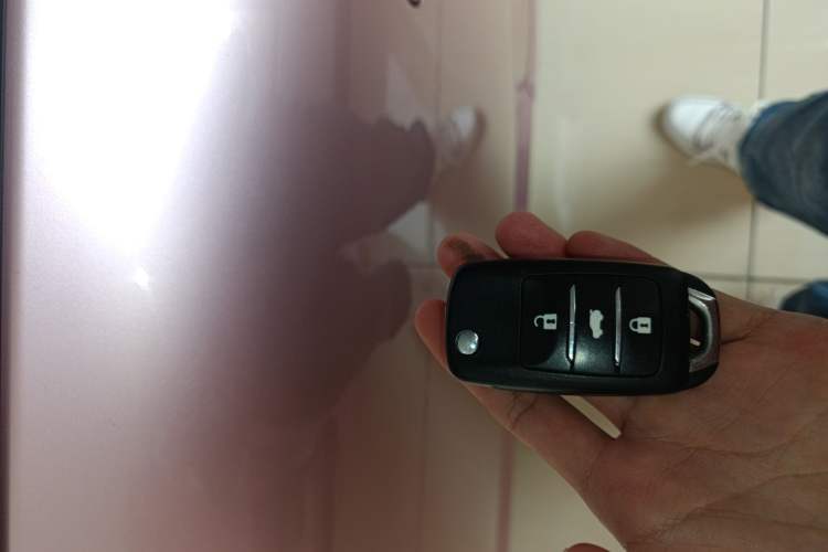 Used Qiyuan Lumin 2022 210km Sweet Edition